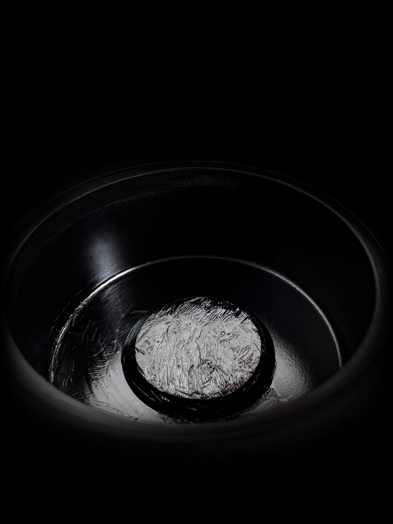 Stylized close-up of tweeter back cavity