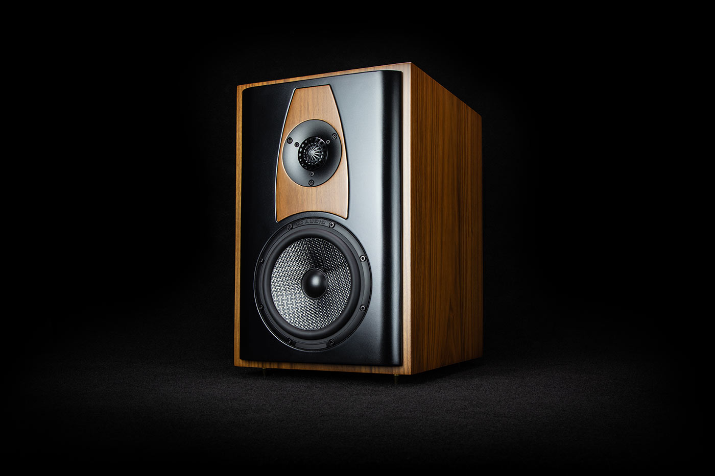 Stylized close-up of woofer cone surround, cone, and dustcap