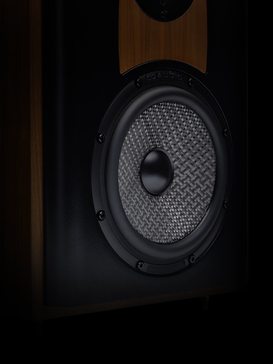 Stylized close-up of woofer cone surround, cone, and dustcap